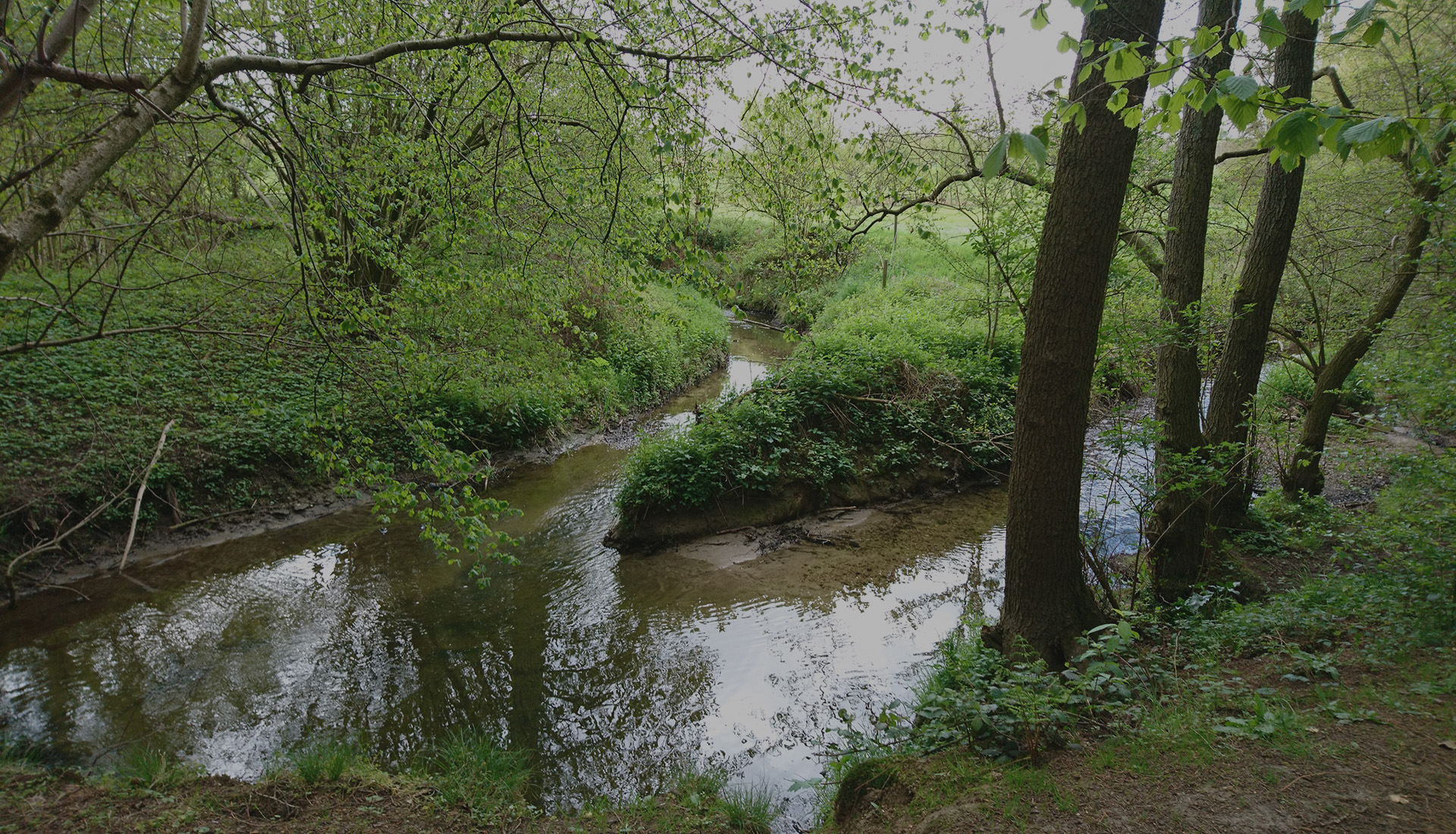 Welkom op de fotogalerij en het archief